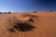 3 - Wadi Rum